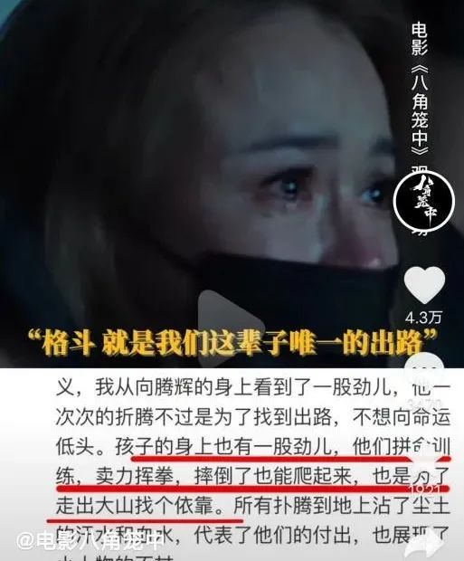 王宝强新电影看哭周星驰，一直被群嘲的他如今还相信爱情吗？